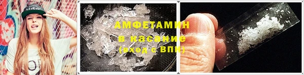 молекула духа Краснослободск