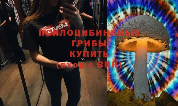 молекула духа Краснослободск