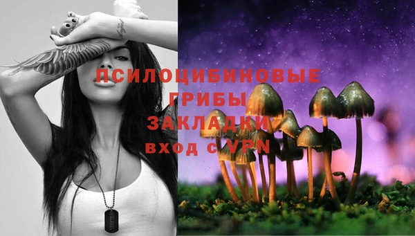 молекула духа Краснослободск