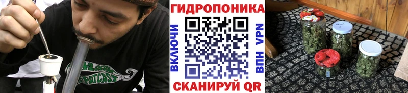 Шишки марихуана Ganja  Лагань 
